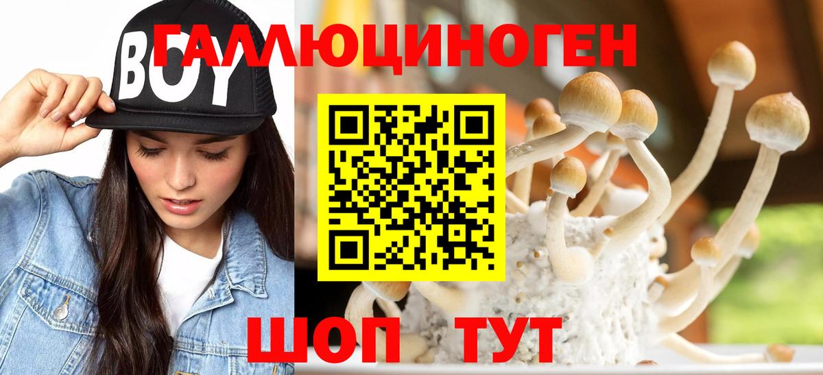 Псилоцибиновые грибы GOLDEN TEACHER Старая Купавна